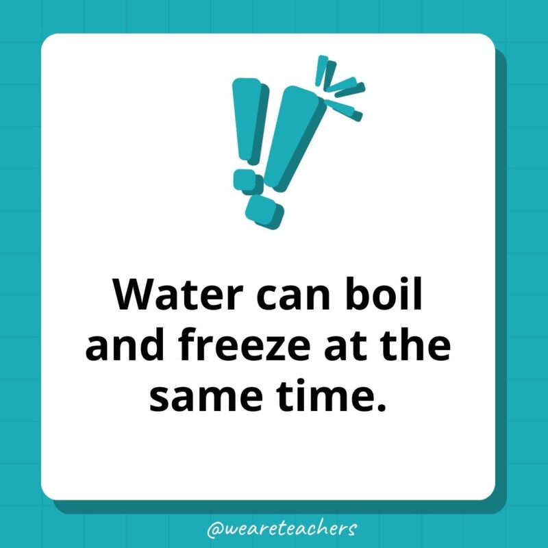 Water can boil and freeze at the same time.