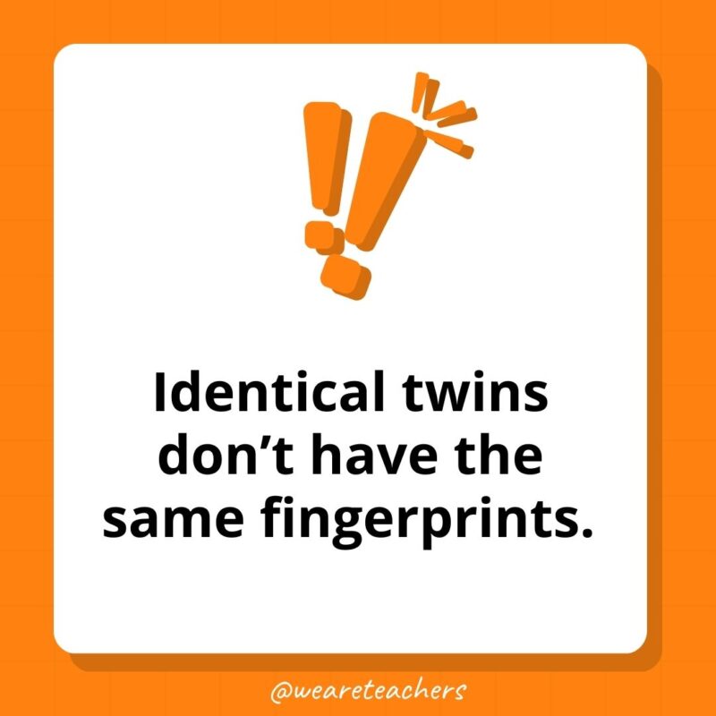 Identical twins don’t have the same fingerprints. - weird fun facts