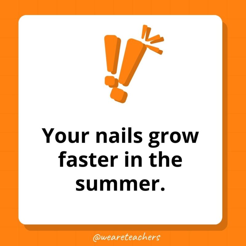 Your nails grow faster in the summer.- weird fun facts