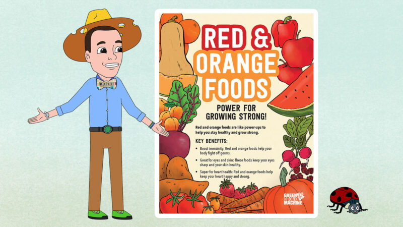 Red and orange foods poster