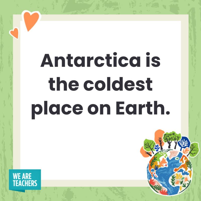 Antarctica is the coldest place on Earth.