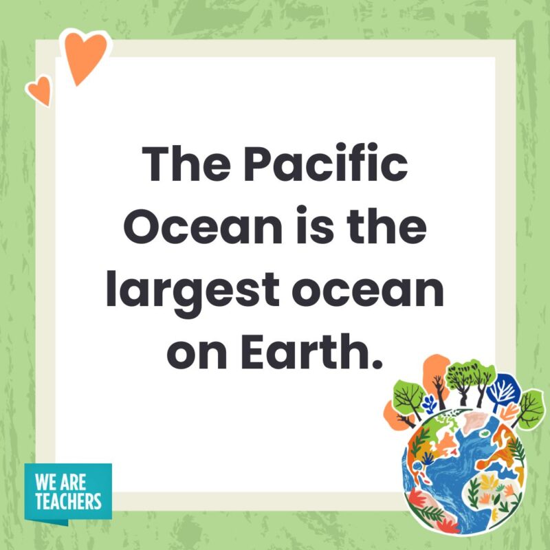 The Pacific Ocean is the largest ocean on Earth.