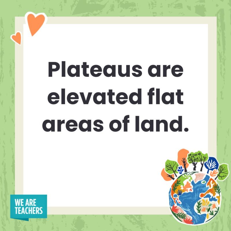 Plateaus are elevated flat areas of land.