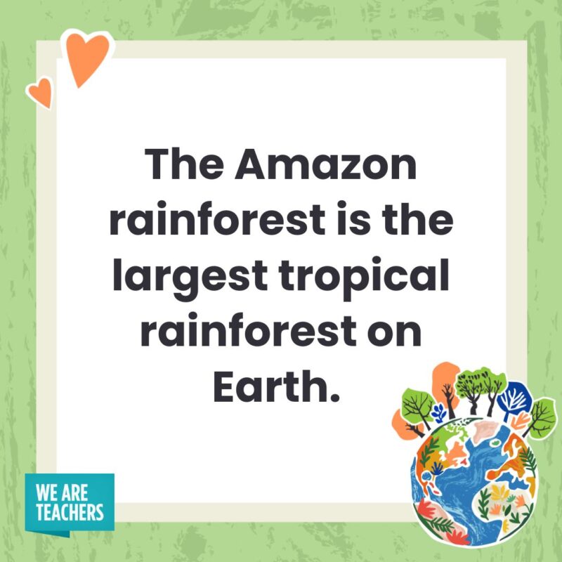 The Amazon rainforest is the largest tropical rainforest on Earth. 