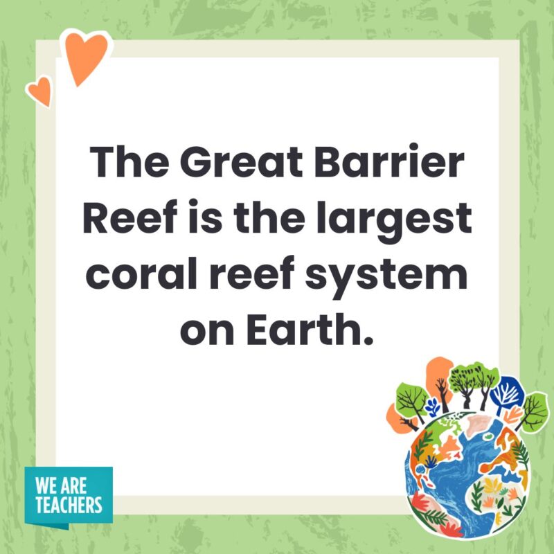 The Great Barrier Reef is the largest coral reef system on Earth.- facts about Earth