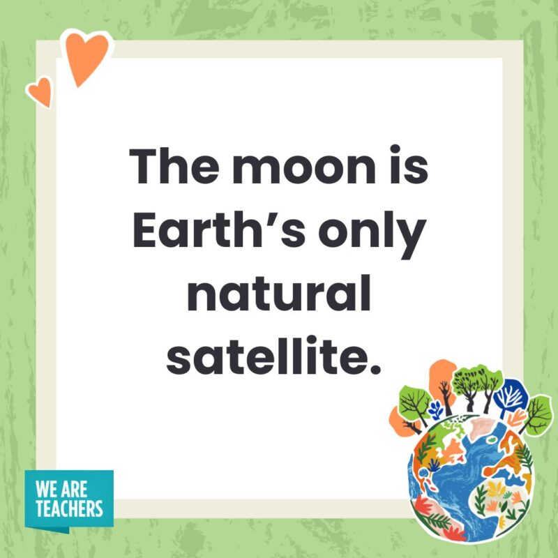 The moon is Earth’s only natural satellite. 